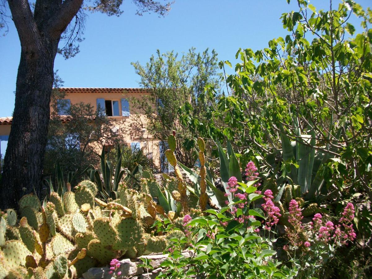 Les Chardons Bleus Bed and Breakfast Lorgues Eksteriør billede